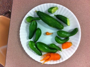 Oct31Harvest