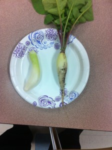 Radishes